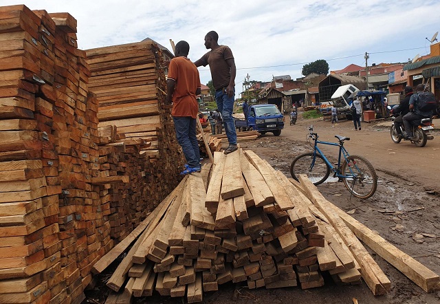 Fort portal: Relocation of Timber Sellers Halted Over Finance